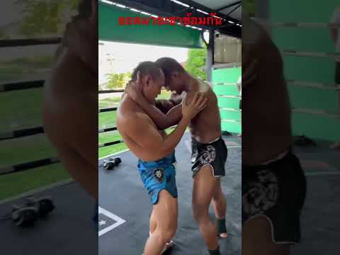 ฟันศอกและจกตา#muaythai #แสนชัย #บัวขาว thumbnail