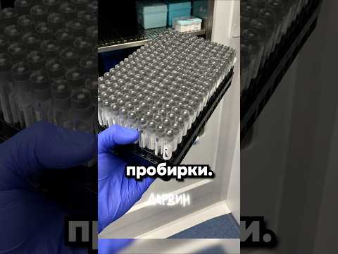 Кажется нас ждет веселый год thumbnail