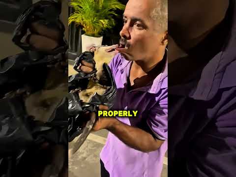 He Made A Mistake Picking That Possum thumbnail