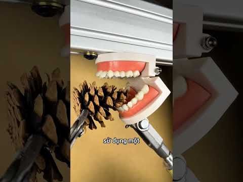 Cắn những thứ không thể ăn được 😳 thumbnail