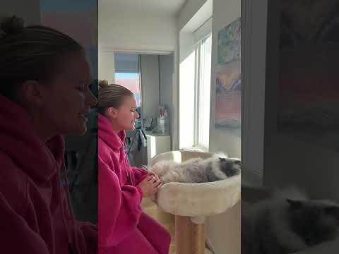 #cat thumbnail