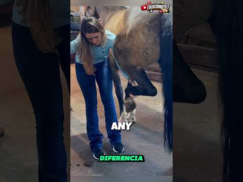 🐴😱 ¡Nadie Creía Que Esta Técnica Curaría al Caballo! 😮💉 #shortsfeed #animals #smartphone #horror thumbnail