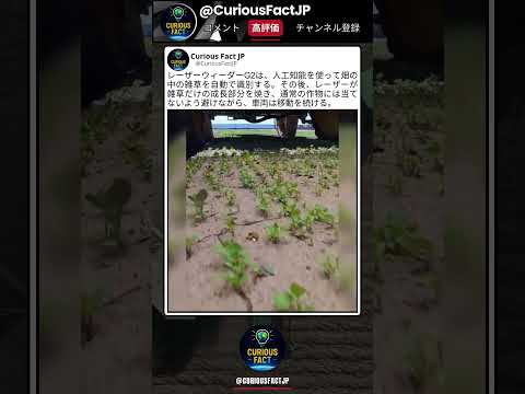 AIに雑草見分けさせる発想すごいな thumbnail