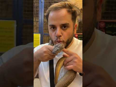 اجينا عحديقة حيوانات بالاردن #shorts thumbnail