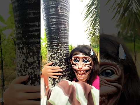 พ่อโดนลิง ขโมยเสื้อ!! 🐒🤣 ช่วยด้วย #funny #comedy #drama #humor #memes #youtube #shorts #minmayang thumbnail