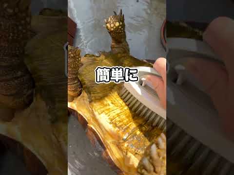 登録者が50万人になってしまった… thumbnail
