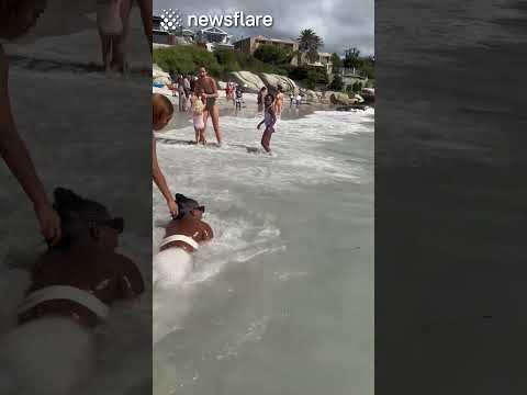 The ocean DON'T CARE about your vibes... 🤣 thumbnail