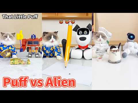Too Cute to Handle! 🐱💖 Puff vs Robot Alien 🤖👽| That Little Puff thumbnail