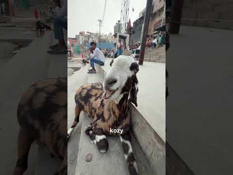 spędź ze mną dzionek w Indiach thumbnail