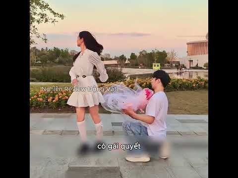 Cô gái đã dùng một cây cọ vẽ để sửa chữa những điều không hoàn hảo của thế giới. thumbnail