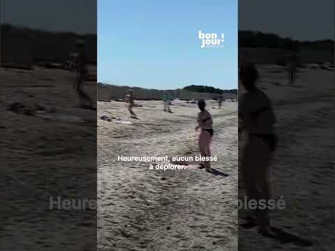 🐗 Insolite : un sanglier surgit de l'eau et sème la panique sur une plage du Var !｜TF1 INFO thumbnail
