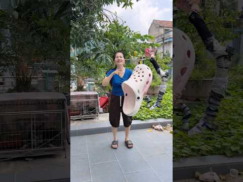 Món quà bất ngờ 🤑🤑# shorts #funny thumbnail