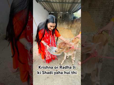 Vrindavan me Bhang pee li? #crafteraditi #vrindavan #shorts #brajkiholi #travel #vlog @CrafterAditi thumbnail