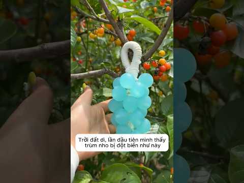Tôi nhặt được trùm nho đột biến thumbnail