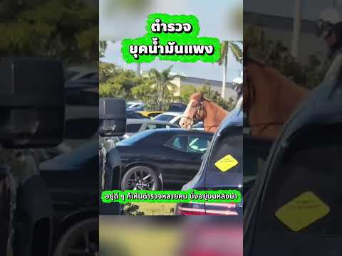 น้ำมันมันแพง thumbnail
