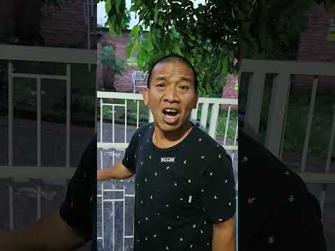 Mama Kaget Papa Marah Tutup Pagar Rmah Karna Ara Telat Plg Udh Mw Mlam Pk Syal Persib K Rmah Teman🤔 thumbnail