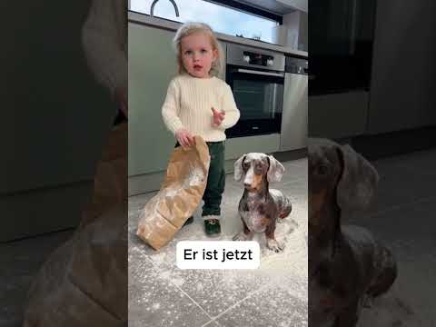 Hund Voller Mehl? Kein Problem – Er Ist Jetzt Unsichtbar! ?? #shorts #parenting #babytalk thumbnail