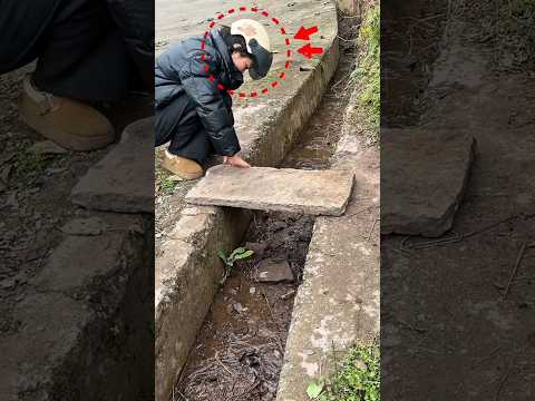 Unbelievable This Girl Built A Bridge To Help Everyone.. ?? thumbnail