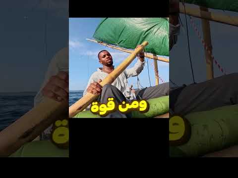 عضو جديد في فريق مستر بيست 😨 thumbnail