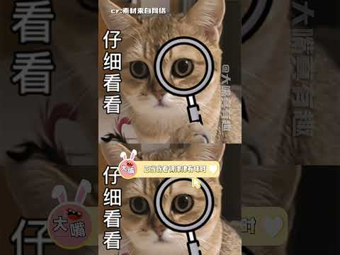 可惜了，这个纯白蛐蛐我想花一百万买下来的！#万万没想到#搞笑#离谱# thumbnail