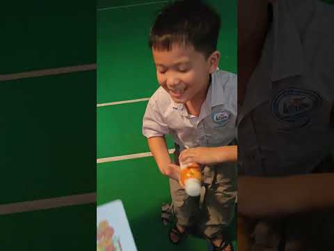 Dứa bảo đc lên lớp rồi #shorts #caulongbocondua thumbnail