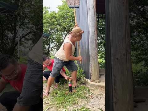 "Who Really Took My Drink? 🤔🥤" #laugher #funny #comedy #shortvideo #prank #dontlaught thumbnail