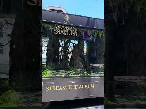 Catch the Wakas at Simula truck as it finally arrives where the end begins. #WakasAtSimula #SB19 thumbnail