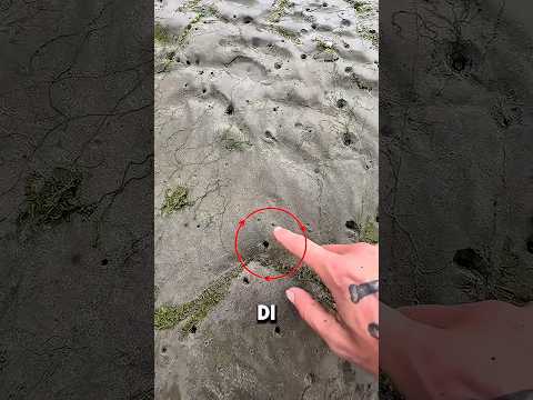 Cowok ini Nekat Gali Lubang Kecil di Pinggir Sungai…Tapi yang Terjadi Bikin Panik‼️😱 thumbnail