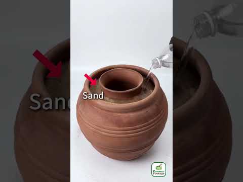 Methods Used by Ancient People to Preserve Food in Summer thumbnail