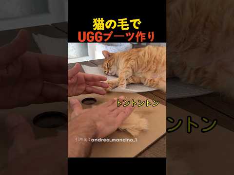 猫の毛でUGGブーツ作り thumbnail