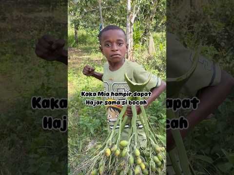 Kak Mia hampir dapat h4jar sama si boc4h??? #fyp #papua #tni #semuaorang #vidioshort #pinang thumbnail