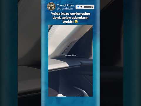 Yolda Gördüğü Kuzu Çevirmesine Tepki Veren Gençler 😂🤣 thumbnail