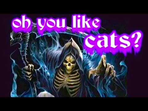 oh you like cats? thumbnail