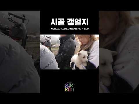흰둥이, 백구, 누렁이 #식구 #SIKKOO #AOMG thumbnail