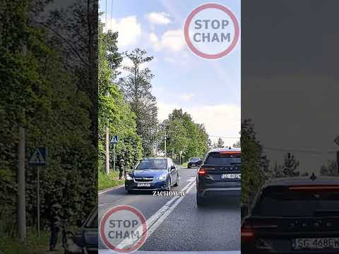 Bo życie mamy tylko jedno - dziecko przed przejściem  #stopcham #dashcam #prawojazdy thumbnail