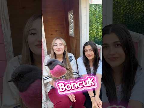 Kızların vs erkeklerin kuşlarına koyduğu isimler thumbnail