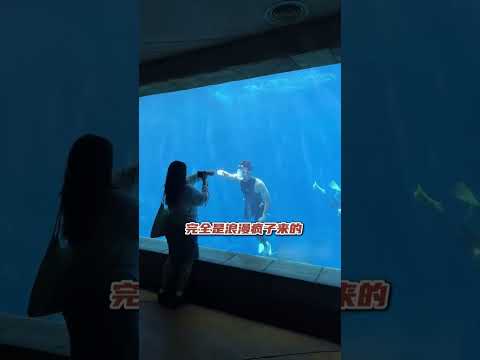 吴磊不当演员的时候在当美人鱼？此男实在是太曼妙 #吴磊 #leowu thumbnail
