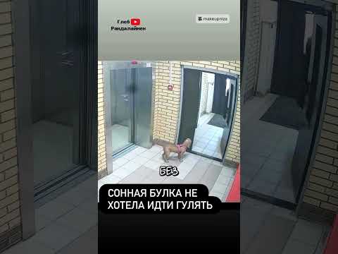 А Теперь Открой Нормально 👑 thumbnail