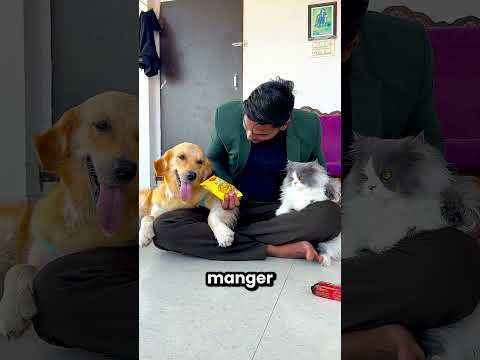 Ce petit chien veut tout manger 😱😋 thumbnail