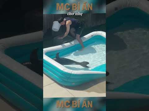 Bị Rớt Cây Cỏ 4 Lá | E368 #mcbian thumbnail