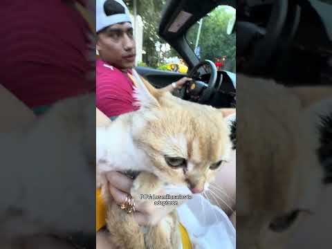 Suki tiene un Ferrari thumbnail