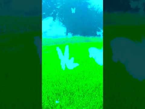 Priyansh official 8888 #short video thumbnail