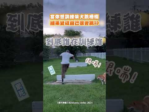 當你想訓練柴犬跳柵欄 結果變成自己很會跳XD｜觸咪 thumbnail