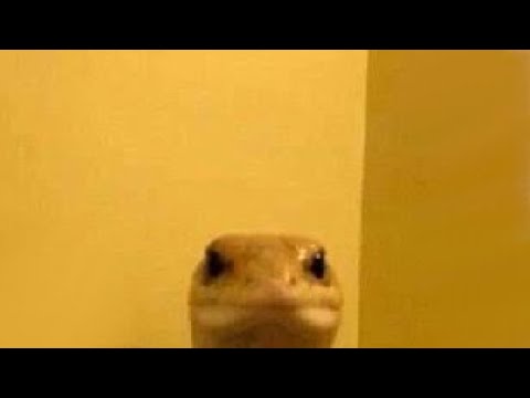 quiet thumbnail