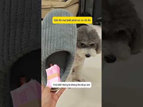 Mẹ bày mưu tìm quỹ đen của bố #shorts thumbnail