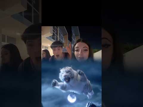 Ogni giorno in live su Tiktok! thumbnail