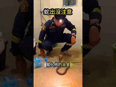 他有一點聰明?‍更有很多勇敢☺️ thumbnail
