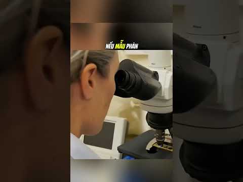 Sự thật về những hộp sữa mà bạn uống hằng ngày#daochieu #shorts thumbnail