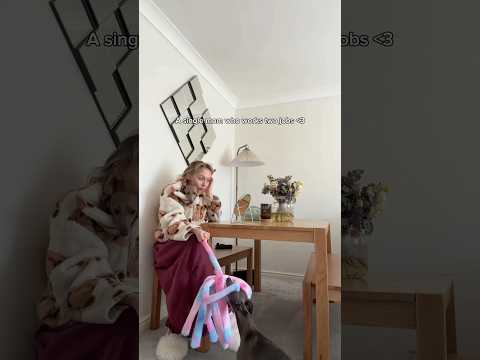 my peaceful morning routine 🥰 thumbnail