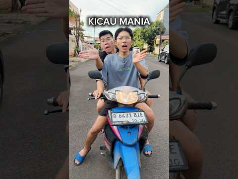 Malah joget kicau mania thumbnail